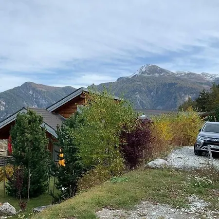 Modernes - Blue Merle * Vercorin